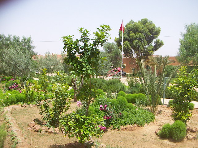 espaces vert ita 2005