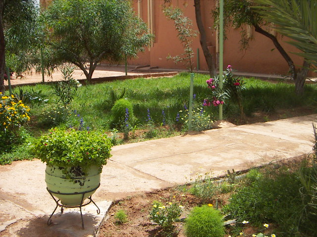 espaces vert ita 025